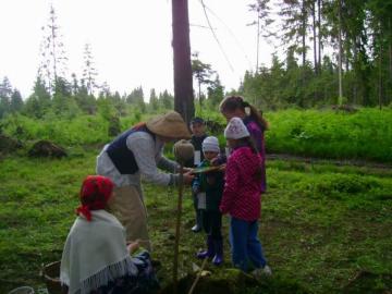 Cesta rozprávkovým lesom 2013 Cesta rozprávkovým lesom 2013